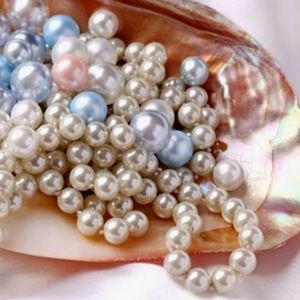 Meet your Posher, Rufiya